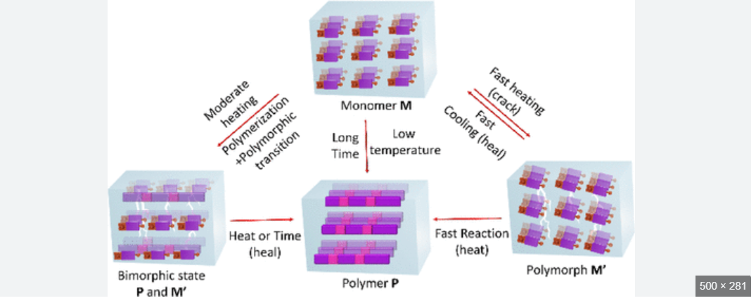 Advance Bulk Mailer 4.5 Cracked