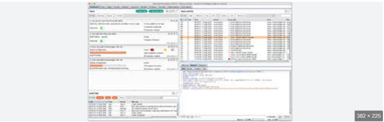 BURP SUITE PROFESSIONAL V2023 latest