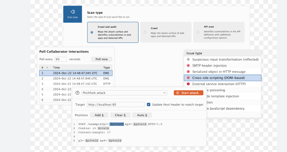 Burp Suite Professional 2021.9 Build 10295
