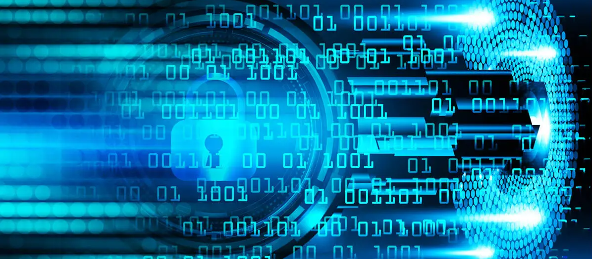 Freya Bitcoin Clipper Builder 2025