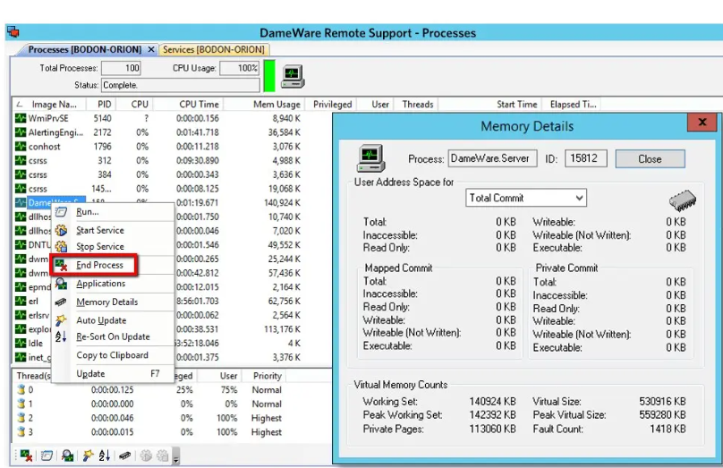 Sorillus Rat Cracked 2025