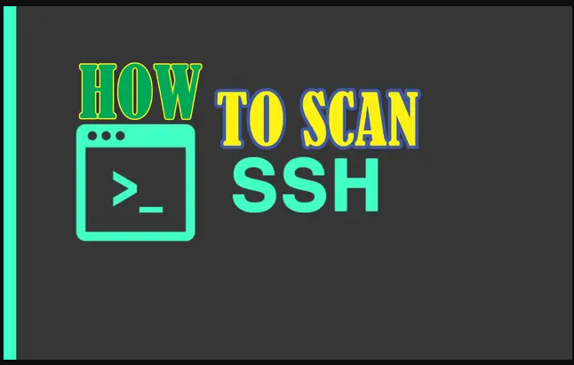 SSH Root Scanner 2024