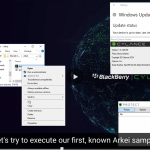 ARKEI LOADER Malware