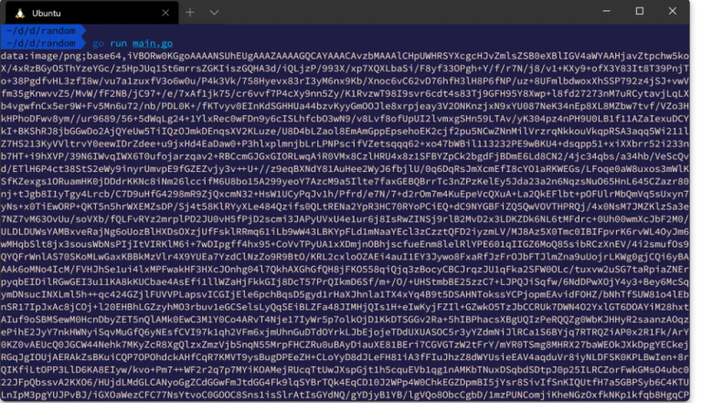 .NET Base64 Crypter