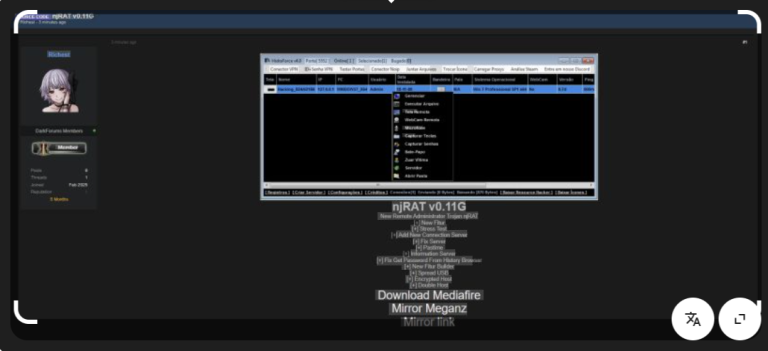 njRAT v0.11g