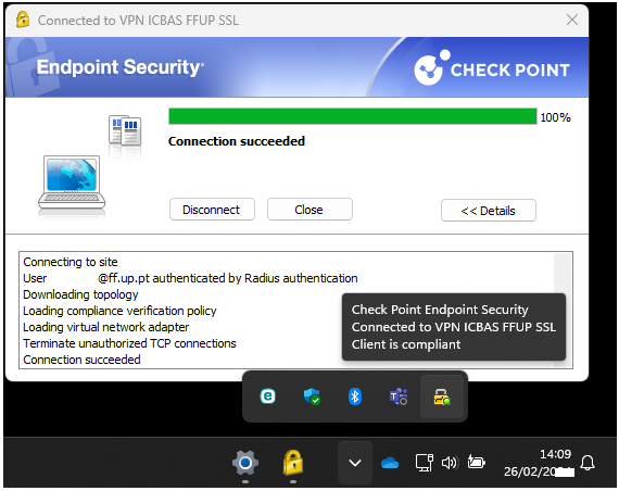 check point vpn